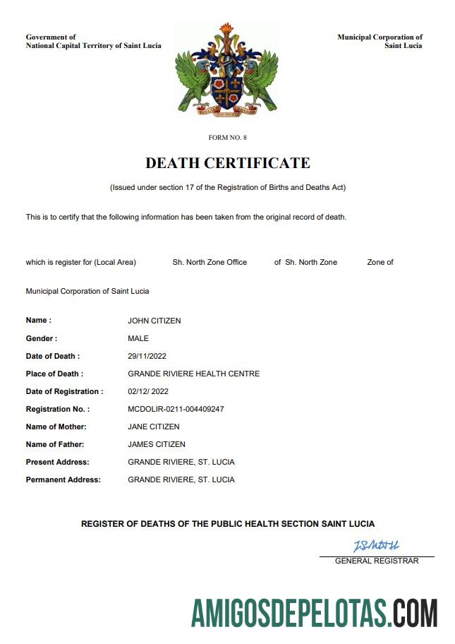 Para baixar modelo Word e PDF de certidão de óbito de Santa Lúcia